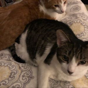 Meet your Posher, Jeana